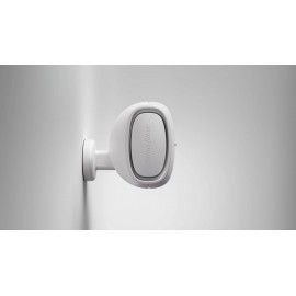 Sonus Faber Aster Outdoor Speaker ( iç ve Dış Mekan Uyumlu )  